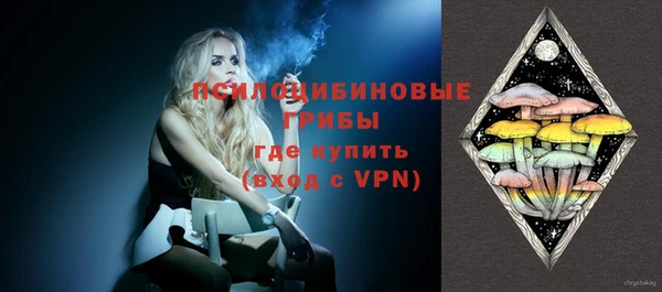стафф Дмитровск