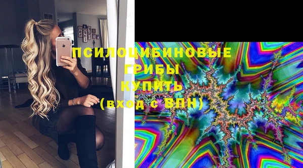 стафф Дмитровск